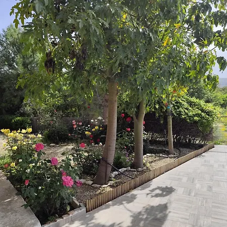 Villa Roses *