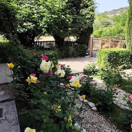 Roses Villa Trimiklini
