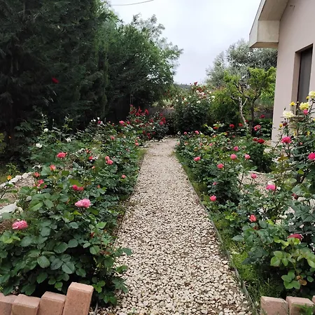 Roses Villa