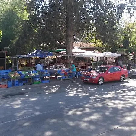 Roses * Trimiklini